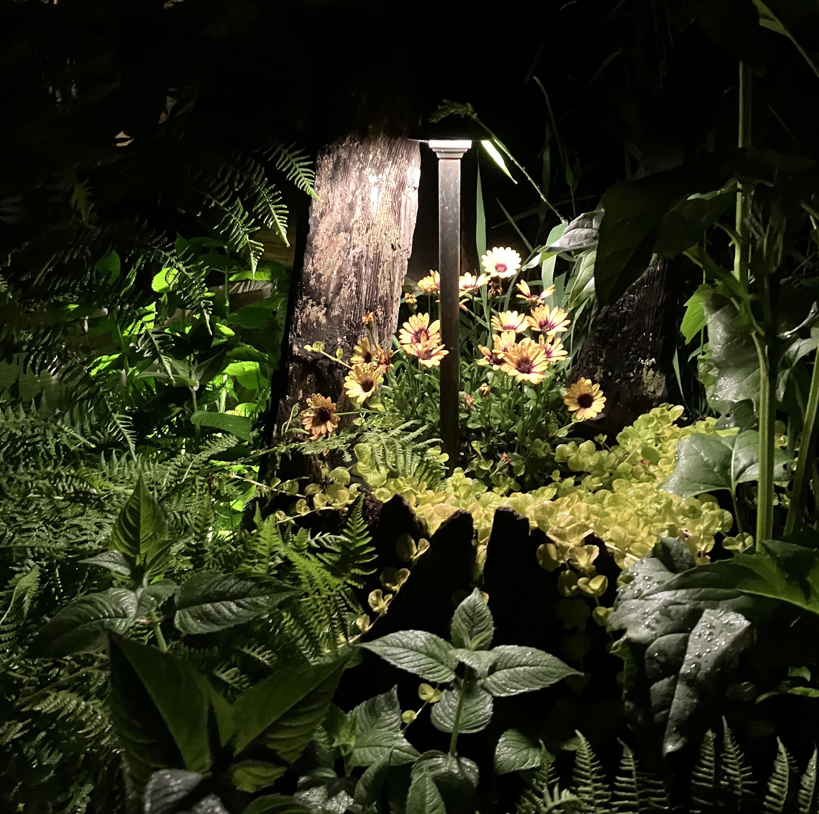 Garden path lighting